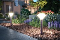 Bollard lights