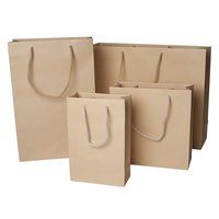 Paper Shopping Bag