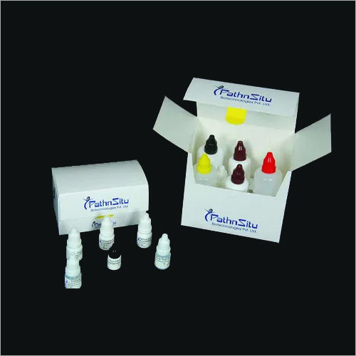 Primary Antibodies