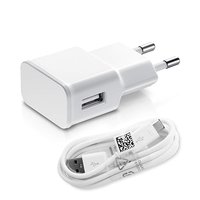 pTron 2A Mobile Charger for Mobile Phones with Micro USB Cable