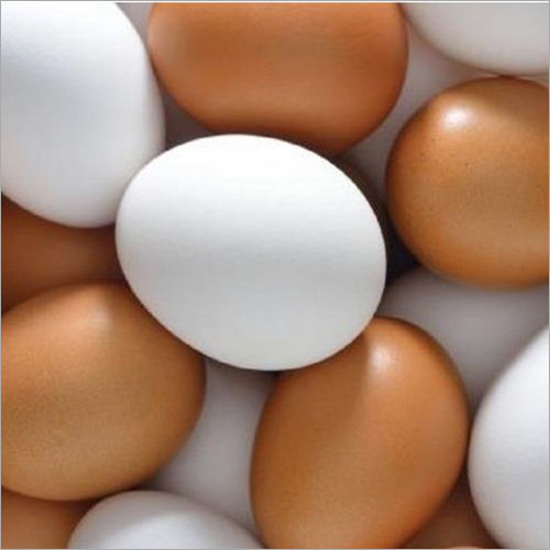 Fresh Table Eggs