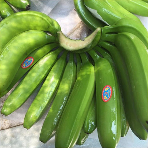 Cavendish Banana