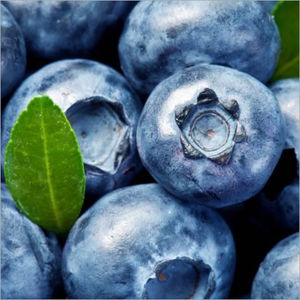 Fresh Blueberry Manufacturer Exporter From Philippines At Latest Price