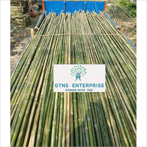 20 Feet Murli / Lagga Bamboo