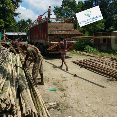 18 Feet ¼ Part Bamboo Slice / Fatti