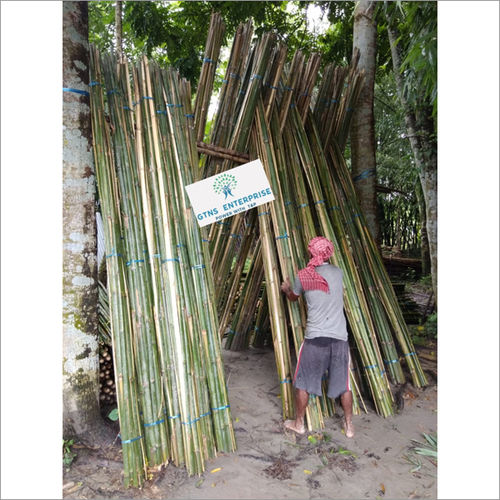 Bamboo Chips / Banzi / Fatti