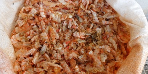 Dried Shrimp Shell in Brazil with the high quality