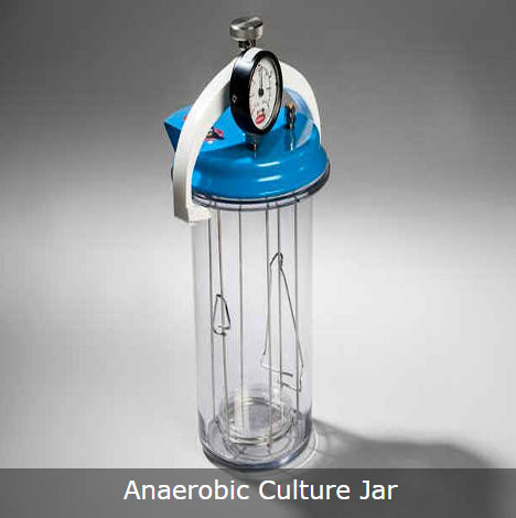 Anaerobic Culture Jar