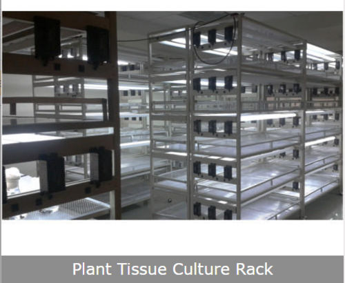 Plant Tissue Culture Rack