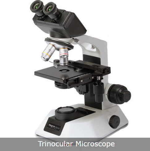 Trinocular Microscope By S.K. APPLIANCES