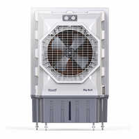 Big Bull Air Cooler