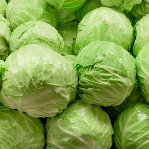 Green Cabbage Moisture (%): 99%