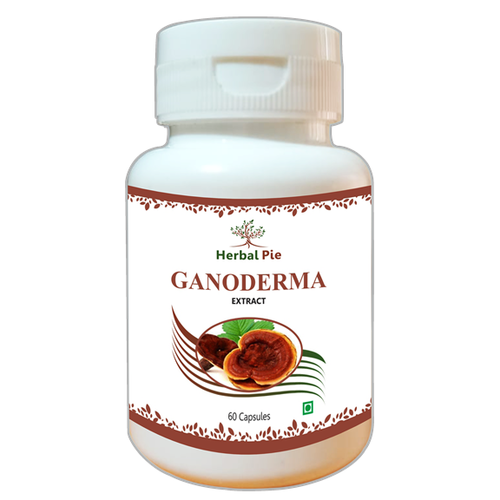Ganoderma Extract Capsules Age Group: For Adults