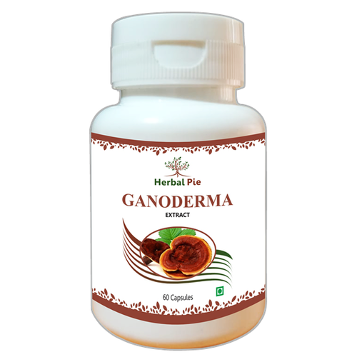 Ganoderma Extract Capsules