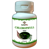 Herbal Supplements Chlorophyll Capsules