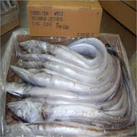 Frozen Ribbon Fish - 10 Kg Carton, Natural Whole Fish, Raw And Unprocessed, Expertly Frozen For Up To 12 Months Freshness And Flavor
