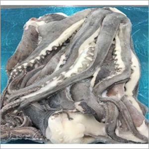 Frozen Giant Argentina Illex Squid Whole Round