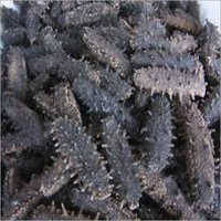 Dried Sea Cucumber - Wild Sourced, Whole Cylinder Shape | Dried Preservation, Bulk Packaging, 12-month Shelf Life, Exotic Variety