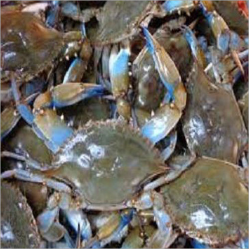 Frozen Blue Crab