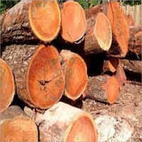 Wood Logs And Sawn Timber