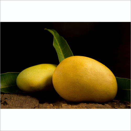 Alphonso Mango
