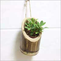 Bamboo Planter - Natural Bamboo Material , Classic Style With Customization Options For Unique Indoor Gardening Solutions