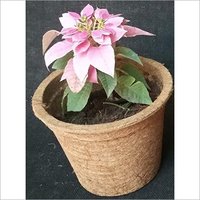 Coir Garden Coir Pot - Natural Coconut Fiber, Circular Design, Light Brown Color | Eco-friendly, Biodegradable, Air Pruning For Smooth Transplanting
