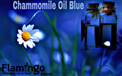 Chammomile oil