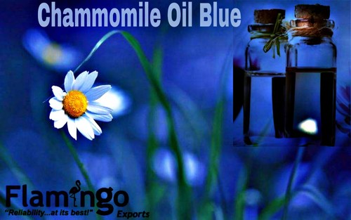 Chamomile Oil Age Group: Adults