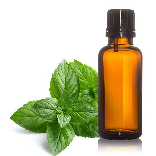 Mentha Piperita Oil Cas No: 8006-90-4 / 84082-70-2