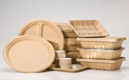 Biodegradable Container By NAVYUG PAPER PRODUCTS