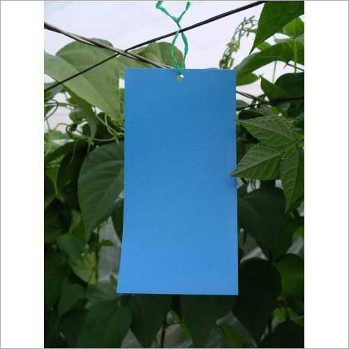 Blue Sticky Trap 