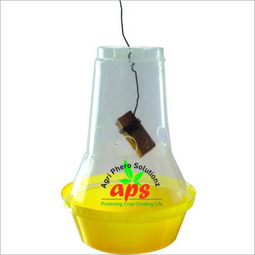 Easy Fruit Fly Trap
