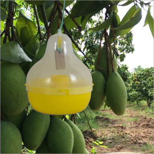 Melon Fly Trap