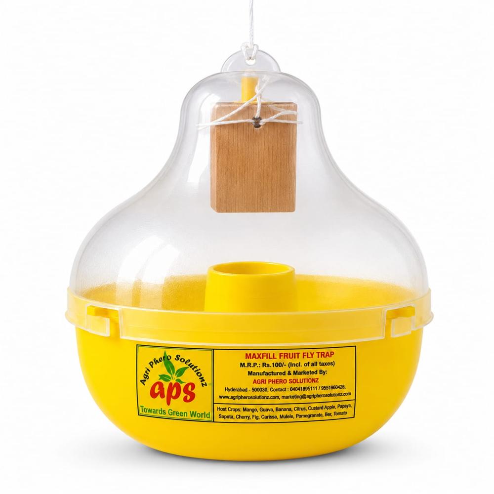 Maxfil Fruit Fly Trap - Material: Plastic