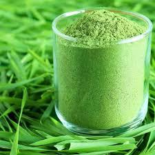 Wheat Green Grass Powder