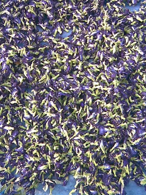Butterfly Pea Dried