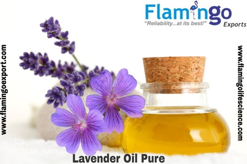 Lavender Oil - Cultivation Type: Organic