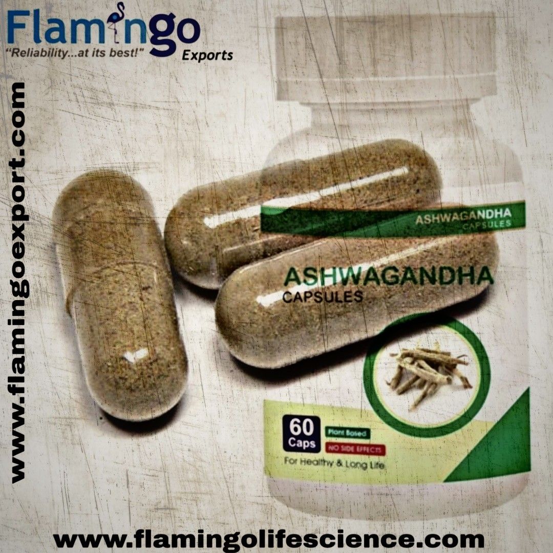 Ashwagandha Extract