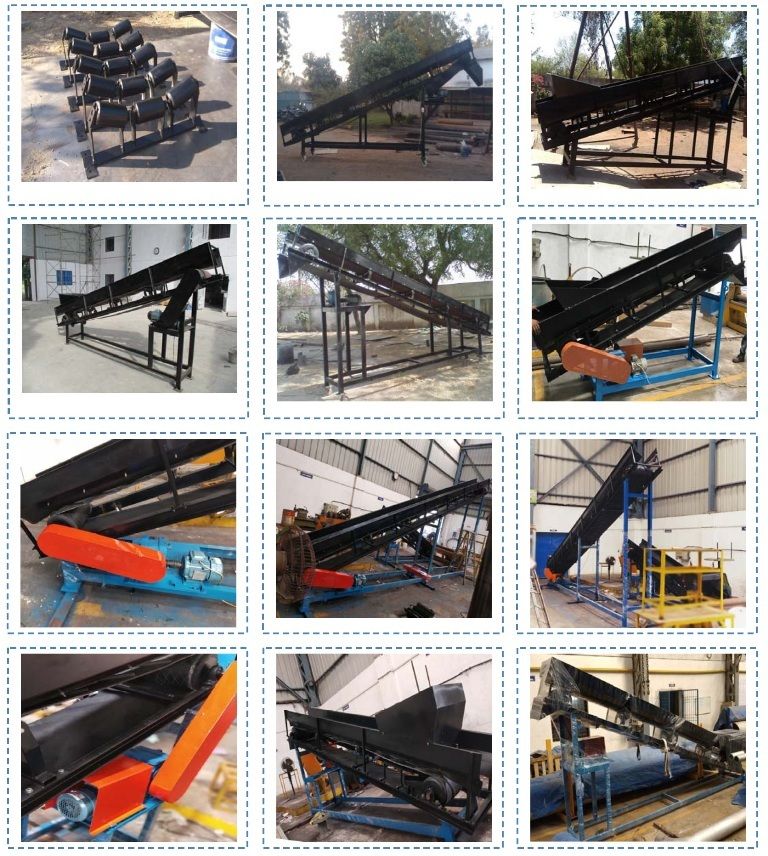 Conveyor Belt Assembly