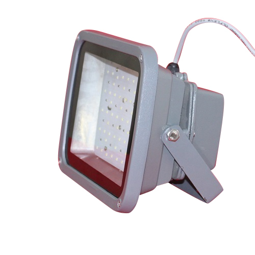 50 Watt Flood Light