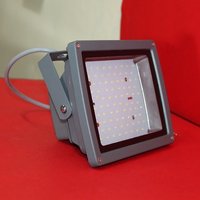 50 Watt flood light