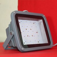 50 Watt flood light