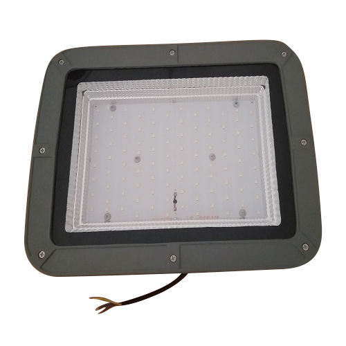 100 Watt Flood Light