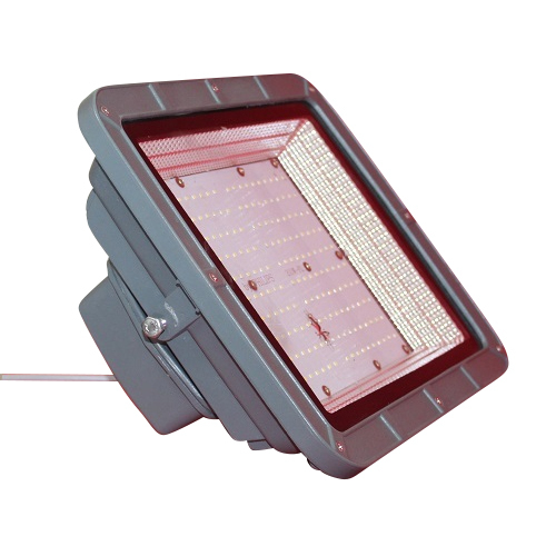 250 Watt Flood Light