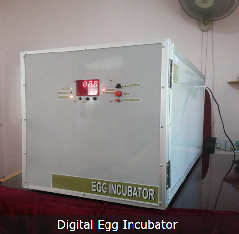 Digital Egg Incubator