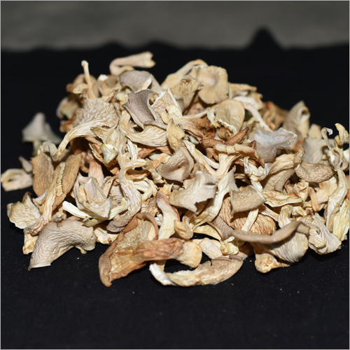 Brown Organic Dry Mushroom