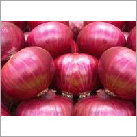 Red Fresh Onion