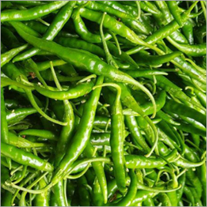 Fresh Green Chilli - Organic, A Grade, 100% Purity | Natural Shape, Preserved Style, Cultivated Under Friendly Weather Conditions