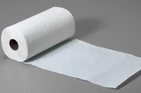 Lint Free Disposable Towel